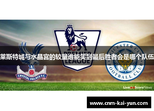 莱斯特城与水晶宫的较量谁能笑到最后胜者会是哪个队伍 莱斯特城与水晶宫的较量谁能笑到最后胜者会是哪个队伍