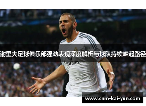 谢里夫足球俱乐部强劲表现深度解析与球队持续崛起路径 谢里夫足球俱乐部强劲表现深度解析与球队持续崛起路径
