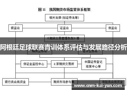 阿根廷足球联赛青训体系评估与发展路径分析 阿根廷足球联赛青训体系评估与发展路径分析